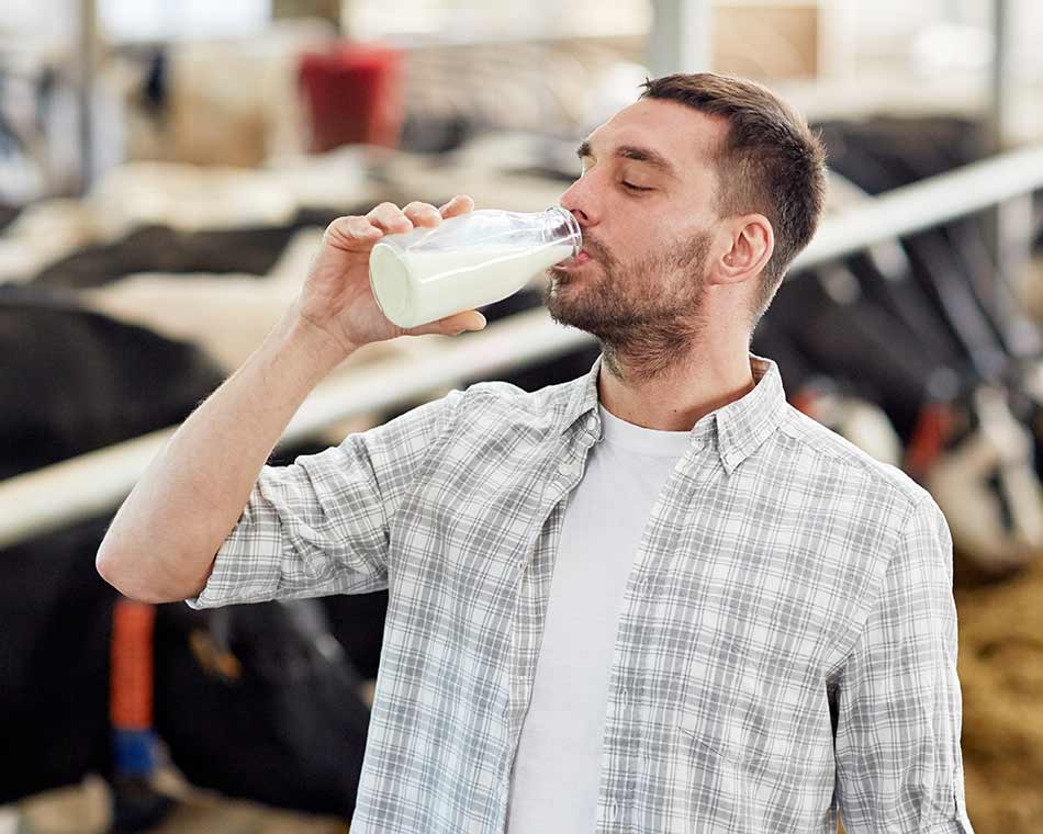 Die Milchproduktion mit einem Futterschieber Roboter steigern.